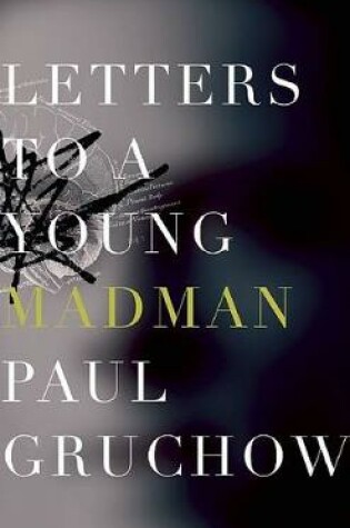 Cover of Letters to a Young Madman