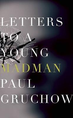 Book cover for Letters to a Young Madman