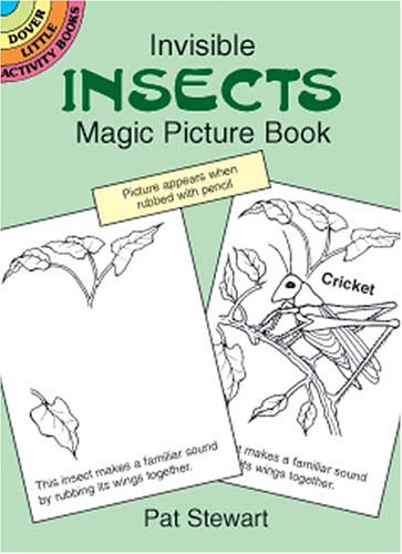 Book cover for Invisible Insects Magic Picture Boo