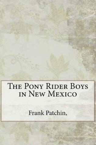 Cover of The Pony Rider Boys in New Mexico