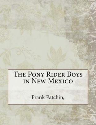 Book cover for The Pony Rider Boys in New Mexico