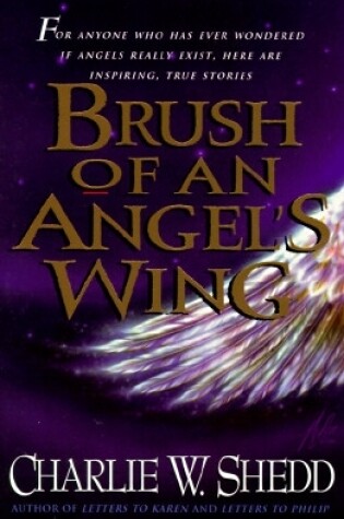 Cover of Brush of an Angel's Wing