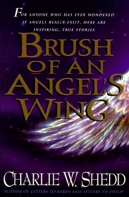 Book cover for Brush of an Angel's Wing