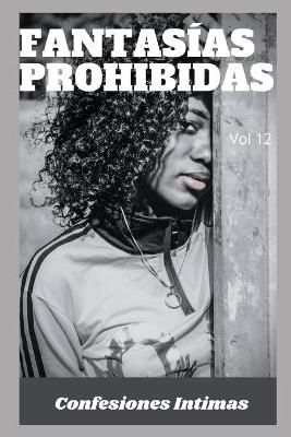 Book cover for fantasías prohibidas (vol 12)