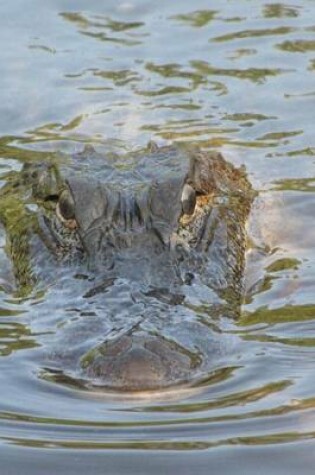 Cover of A Submerged Alligator Journal