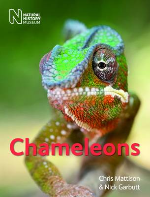 Cover of Chameleons