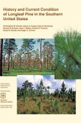 Cover of History and Current Condition of Longleaf Pine in the Southern United States