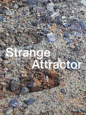 Cover of Strange Attractor