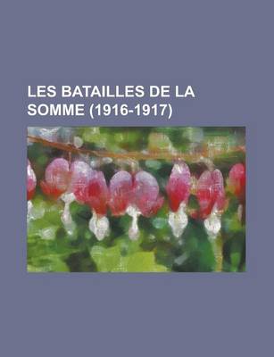 Book cover for Les Batailles de La Somme (1916-1917)