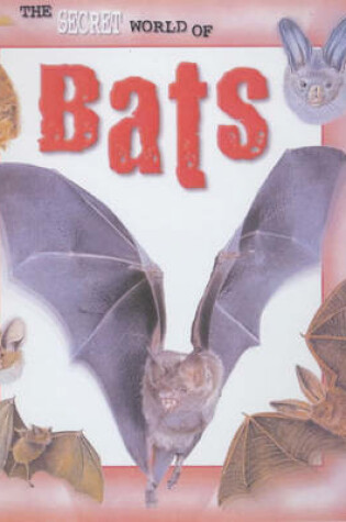 Cover of The Secret World of: Bats