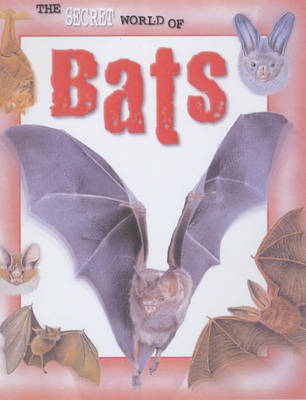 Book cover for The Secret World of: Bats