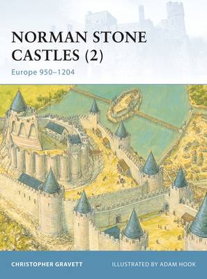 Book cover for Norman Stone Castles (2)