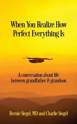 Book cover for When You Realize How Perfect Everything Is