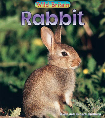 Book cover for Wild Britain: Rabbit