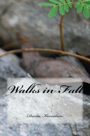 Cover of Walks in Fall