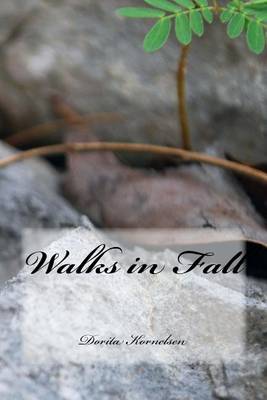Book cover for Walks in Fall