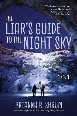 Book cover for The Liar's Guide to the Night Sky
