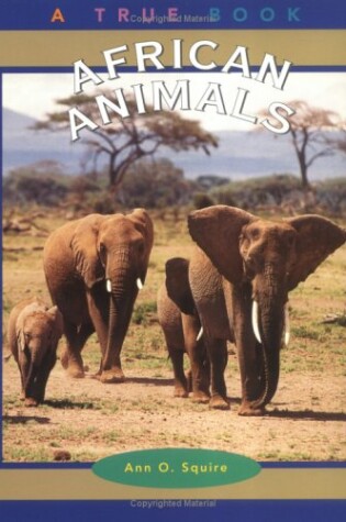 Cover of African Animals