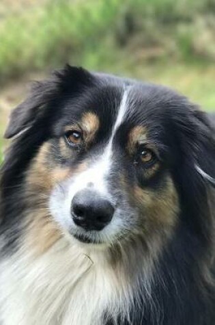 Cover of The Loving Eyes of an Australian Shepherd Journal