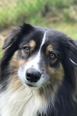 Book cover for The Loving Eyes of an Australian Shepherd Journal