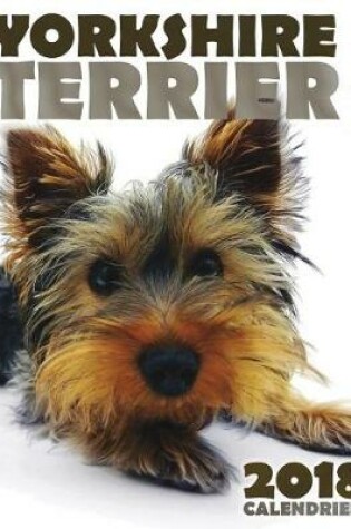Cover of Yorkshire Terrier 2018 Calendrier (Edition France)