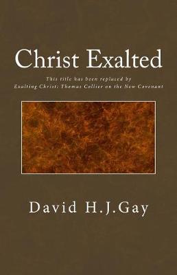Book cover for Christ Exalted