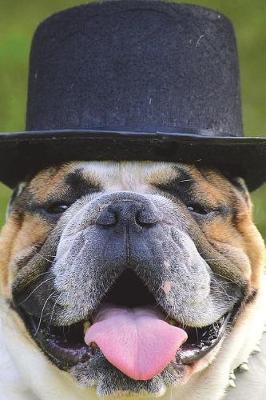 Book cover for Bulldog in a Top Hat - Ain't He Cute? Journal