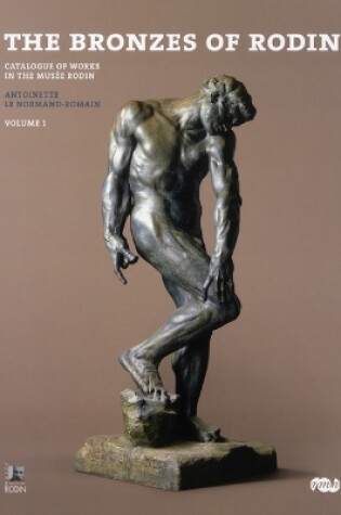 Cover of The Bronzes of Rodin