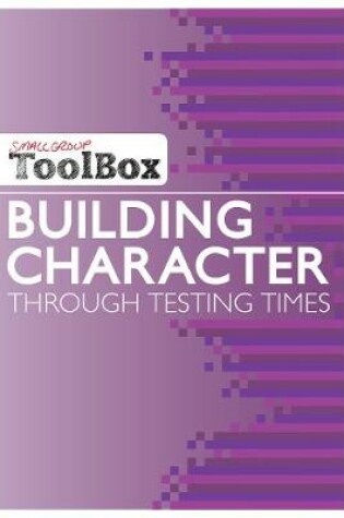 Cover of Small Group Toolbox: Building Character through testing times