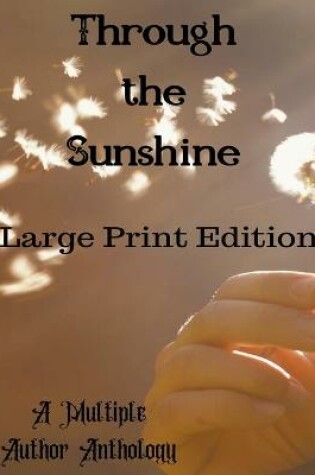 Cover of Through the Sunshine Large Print