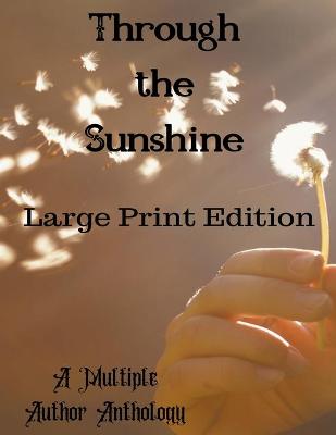 Book cover for Through the Sunshine Large Print