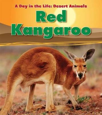 Book cover for Red Kangaroo