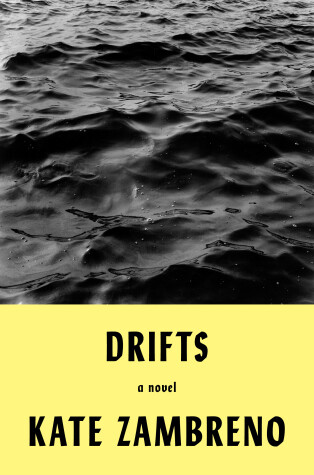 Book cover for Drifts