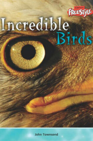 Cover of Incredible Creatures: Birds Paperback