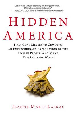 Book cover for Hidden America