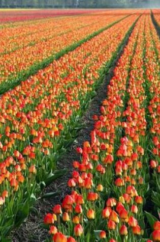 Cover of An Endless Tulip Field (for the Love of Flowers)