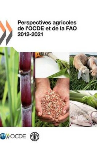 Cover of Perspectives Agricoles de L'Ocde Et de La Fao 2012