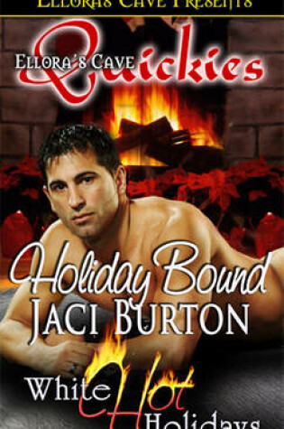 Cover of Holiday Bound