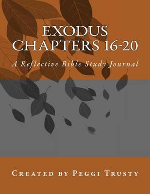 Cover of Exodus, Chapters 16-20