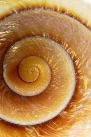 Cover of Snail Shell Sea Mollusk Journal