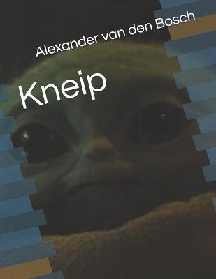 Book cover for Kneip