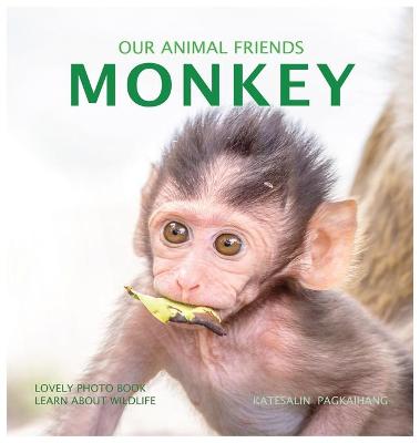 Book cover for Monkey