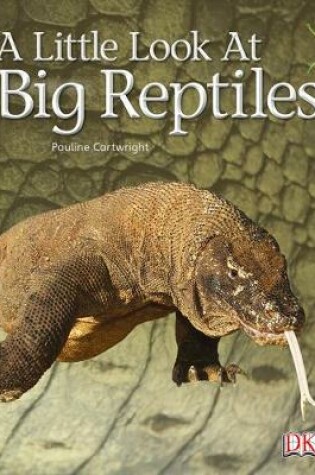 Cover of Bug Club Non-fiction Blue (KS1) B/1B A Little Look of Reptiles 6-pack