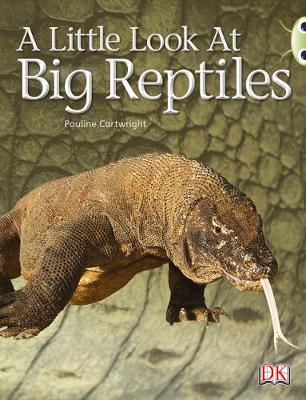 Book cover for Bug Club Non-fiction Blue (KS1) B/1B A Little Look of Reptiles 6-pack
