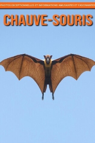 Cover of Chauve-Souris