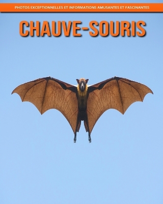 Book cover for Chauve-Souris