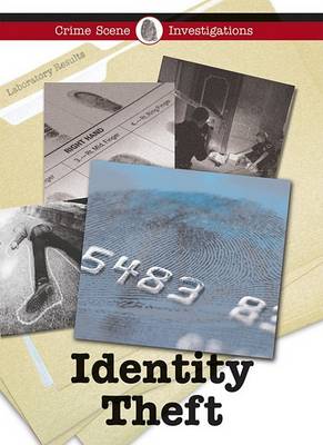 Cover of Identity Theft