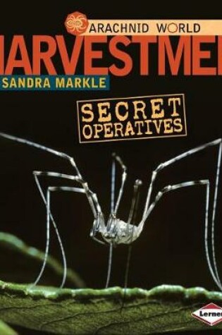 Cover of Harvestmen