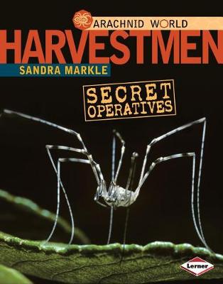 Book cover for Harvestmen