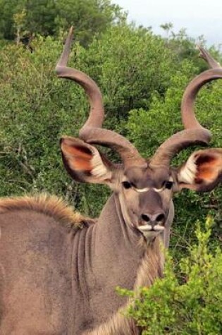 Cover of Profile of a Kudu in South Africa, for the Love of Animals